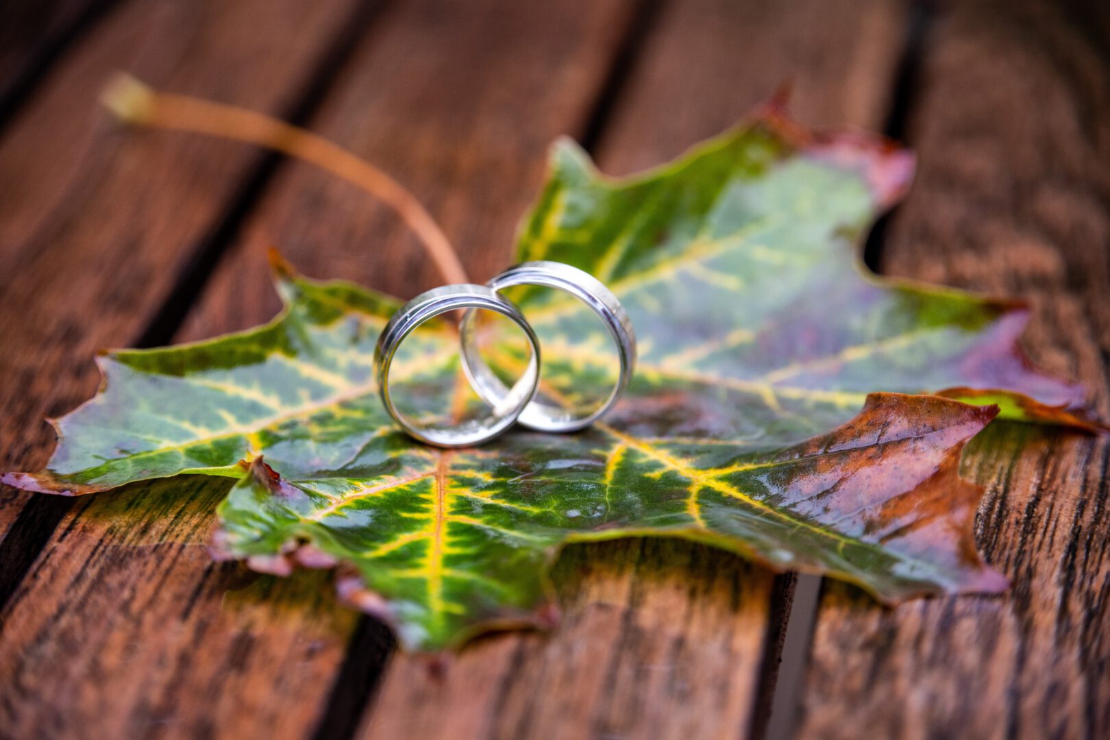 Hochzeit feiern im Herbst - Das solltest du beachten!